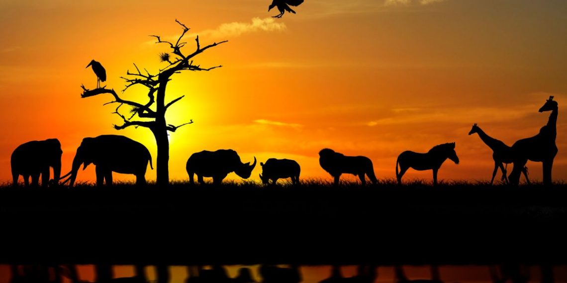 animais mais feios do mundo