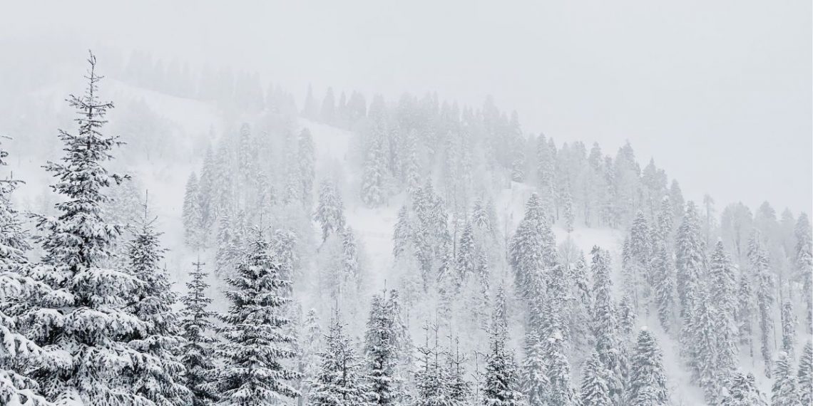 previsão de neve serra da estrela