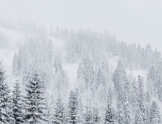 previsão de neve serra da estrela