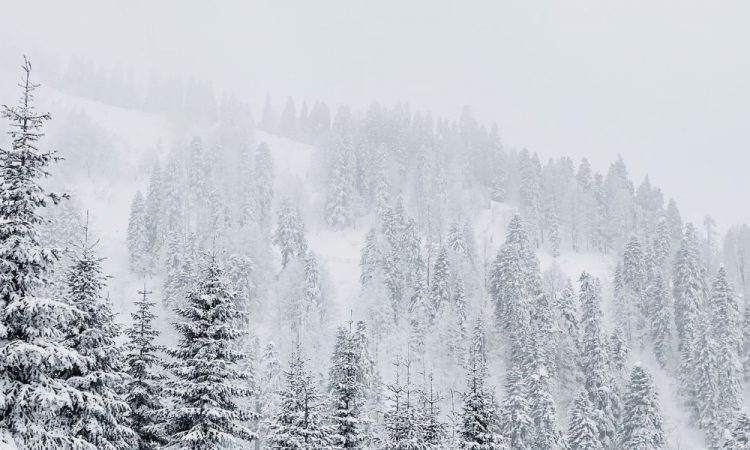 previsão de neve serra da estrela