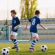 Contratar um Advogado Desportivo