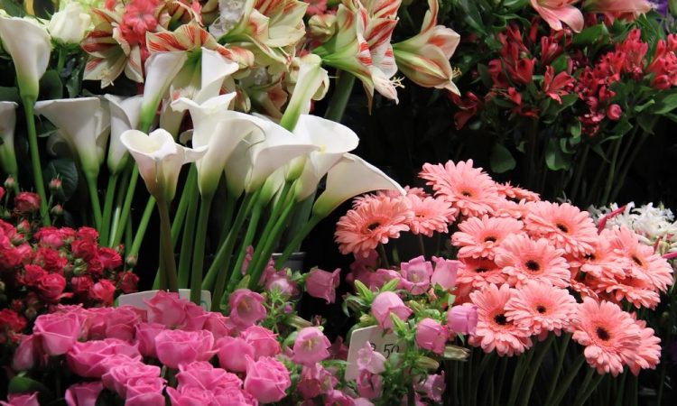 florista em Lisboa