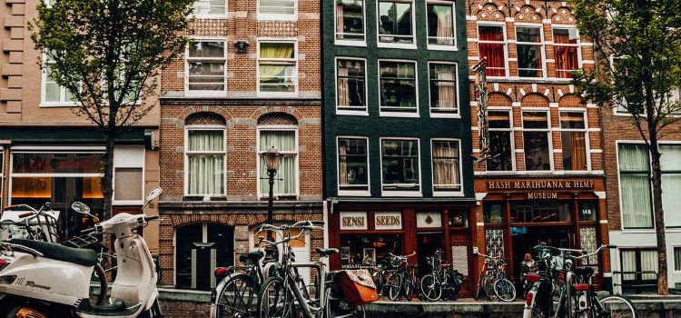 emprego holanda