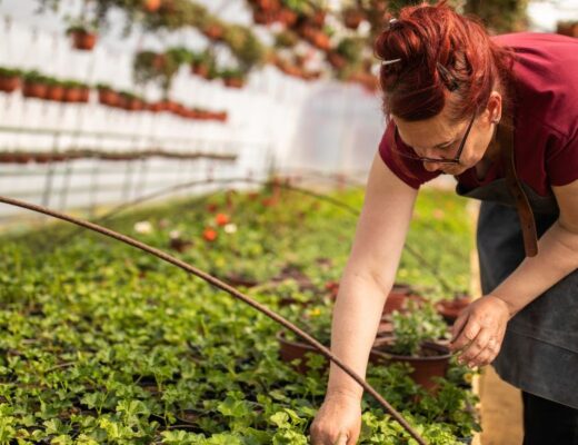 Escolher a Melhor Empresa de Jardinagem no Porto