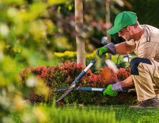 Serviços de Jardinagem no Porto: Valorize Seu Espaço Verde