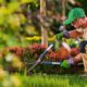 Serviços de Jardinagem no Porto: Valorize Seu Espaço Verde